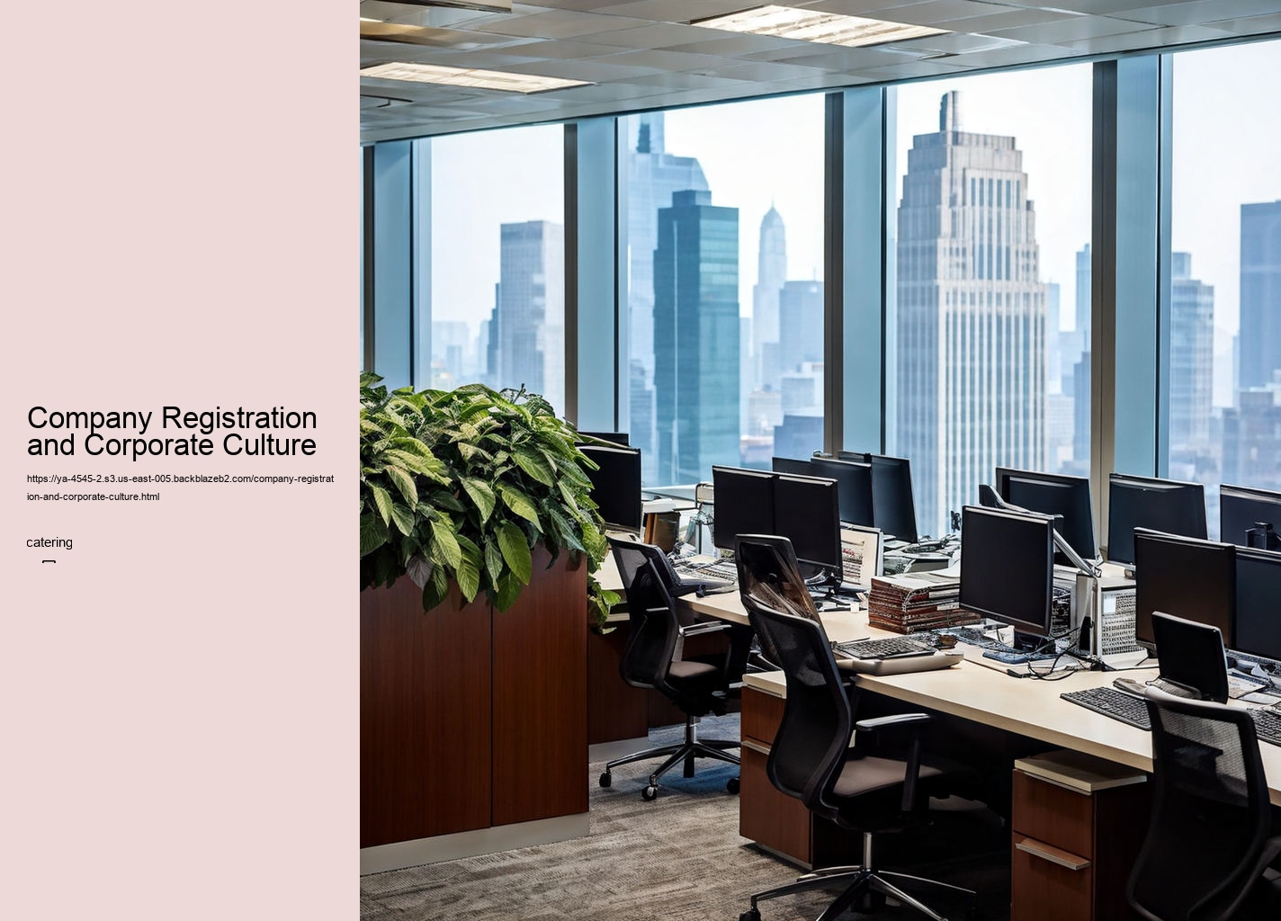 Company Registration and Corporate Culture